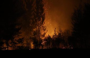 Controlan incendios forestales que dejaron más de 3 hectáreas consumidas en Antuco
