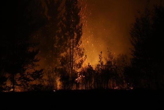 Controlan incendios forestales que dejaron más de 3 hectáreas consumidas en Antuco