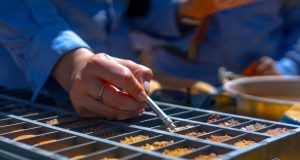 Grupo CAP aumenta su presencia en tierras raras aumentando a 30% su participación indirecta en el Módulo Penco