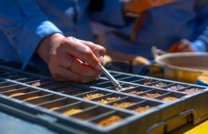 Grupo CAP aumenta su presencia en tierras raras aumentando a 30% su participación indirecta en el Módulo Penco