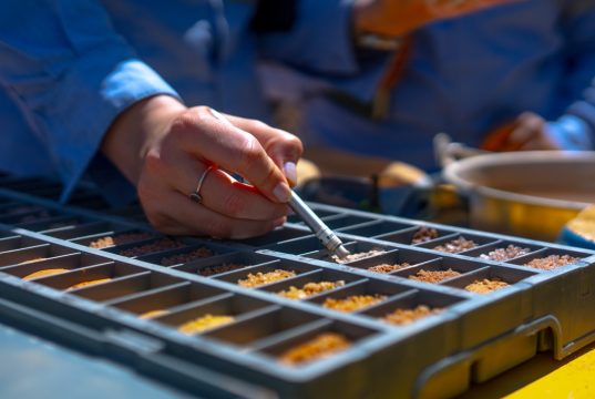 Grupo CAP aumenta su presencia en tierras raras aumentando a 30% su participación indirecta en el Módulo Penco