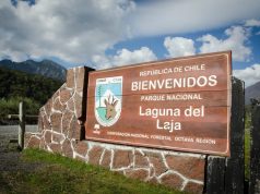 Decretan cierre preventivo del Parque Nacional Laguna del Laja y la Reserva Nacional Ralco