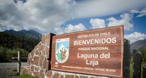 Decretan cierre preventivo del Parque Nacional Laguna del Laja y la Reserva Nacional Ralco