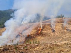 CONAF autoriza temporalmente el uso del fuego en Biobío con restricciones por zonas