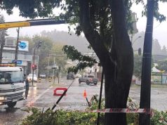 Sistema frontal en Biobío deja anegamientos y caída de árboles sin afectación a viviendas