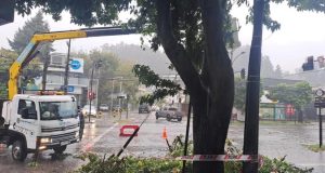Sistema frontal en Biobío deja anegamientos y caída de árboles sin afectación a viviendas
