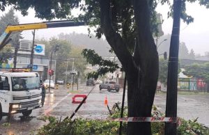 Sistema frontal en Biobío deja anegamientos y caída de árboles sin afectación a viviendas