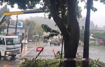 Sistema frontal en Biobío deja anegamientos y caída de árboles sin afectación a viviendas