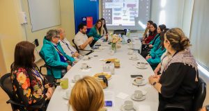 Alianza intersectorial refuerza atención de salud en Penco y Tomé tras incendios forestales