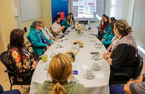 Alianza intersectorial refuerza atención de salud en Penco y Tomé tras incendios forestales