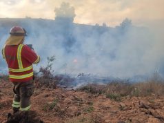 CONAF extiende levantamiento de la restricción del uso del fuego en la Región del Biobío