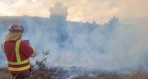 CONAF extiende levantamiento de la restricción del uso del fuego en la Región del Biobío