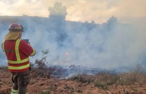 CONAF extiende levantamiento de la restricción del uso del fuego en la Región del Biobío