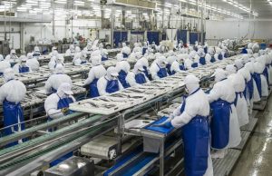 Pesquera Landes demanda al Estado por Ley de Fraccionamiento y pide más de US$70 millones