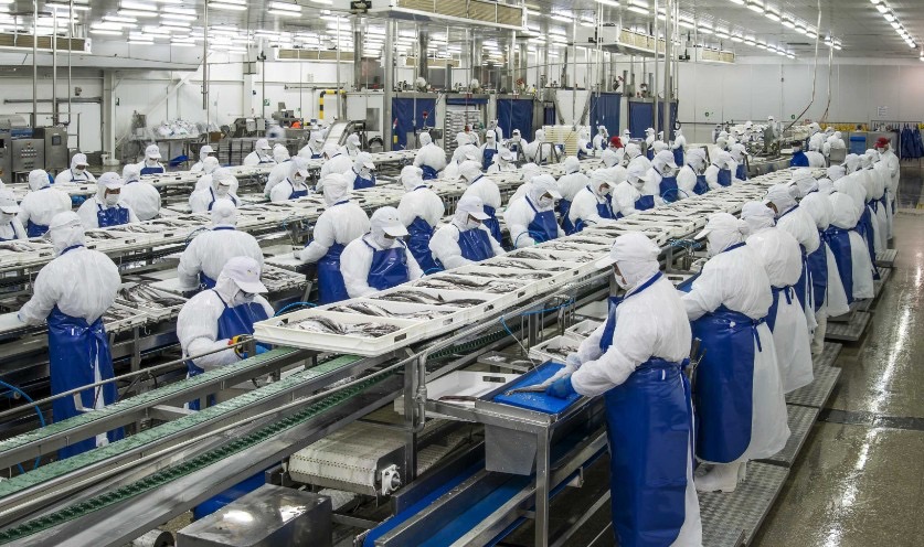 ee89e64b-5338-40be-a215-14771a399281