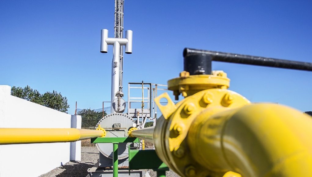 16195492-ae7a-4247-924f-cd64ae90aa55