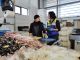 A 330 aumentan fiscalizaciones de autoridad sanitaria a productos del mar en Semana Santa