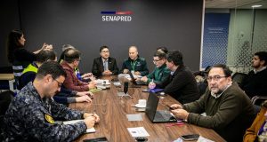 SAG confirma primer caso de influenza aviar en aves silvestres en Biobío