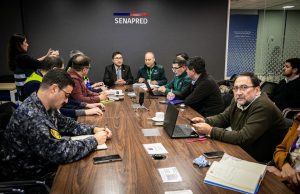 SAG confirma primer caso de influenza aviar en aves silvestres en Biobío