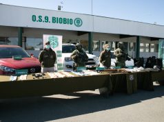 Desarticulan red familiar vinculada a homicidio y narcotráfico en Talcahuano