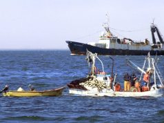 Gobierno reafirma que no habrá modificaciones a ley de fraccionamiento pesquero