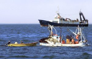 Gobierno reafirma que no habrá modificaciones a ley de fraccionamiento pesquero