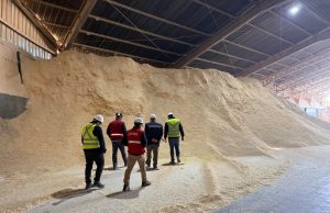 Autoridades visitan la planta de pellet más grande de Chile para monitorear producción y abastecimiento