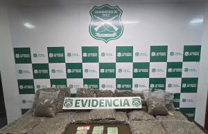Detienen a dos personas e incautan más de 20 kilos de marihuana en ruta de ingreso al Gran Concepción