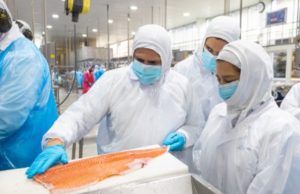 Directora nacional de Sernapesca visita Biobío y sostiene reuniones con el sector pesquero