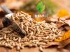 Ministerio de Energía intensifica monitoreo del abastecimiento de pellet en el Biobío