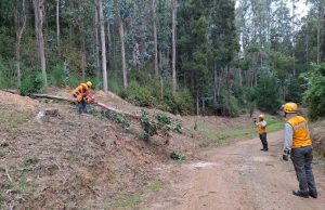 UdeC incorpora 22 medidas en Plan Invierno para fortalecer la seguridad del campus