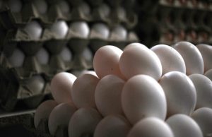 Sernac tras fiscalización a venta de huevos aclara que concepto de “gallinas felices” es ilegal