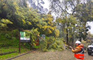 Sistema frontal obliga al cierre de tres parques urbanos en Biobío
