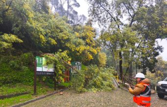 Sistema frontal obliga al cierre de tres parques urbanos en Biobío