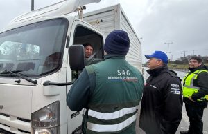 SAG Biobío decomisa más de 8 mil 500 kilos de papas durante fiscalizaciones en la provincia de Arauco