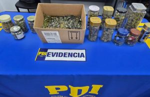 Operativo de la PDI en Dichato termina con más de 600 gramos de cannabis incautada