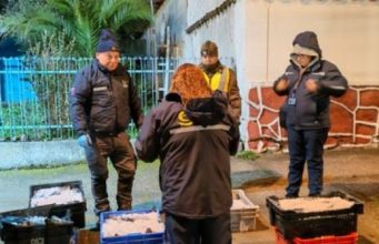Incautan más de 2,4 toneladas de jurel sin acreditar origen legal en control en Ruta del Itata