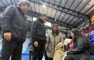 Subdere y el municipio de Tomé supervisan operativo masivo de esterilización para 1.500 mascotas