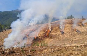 CONAF restringe el uso del fuego en toda la Región del Biobío