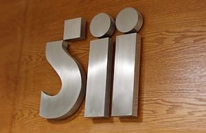 SII anuncia que cinco comunas del Biobío accederán a condonación de multas e intereses