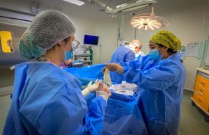 Hospital Las Higueras y Hospital de Tomé fortalecen trabajo quirúrgico en red para resolver lista de espera en cirugía vascular