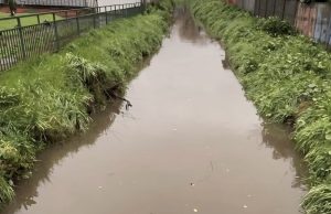Declaran Alerta Amarilla en Los Ángeles por crecida de estero Paillihue