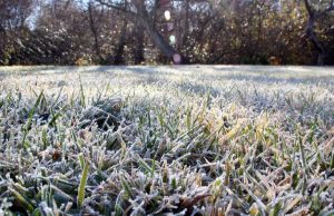 Emiten aviso por heladas en Biobío: se esperan hasta -4°C