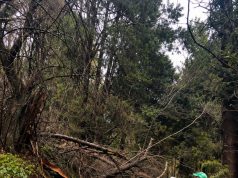 Parque Isidora Cousiño y Museo Histórico reabren tras recuperarse de daños por sistema frontal
