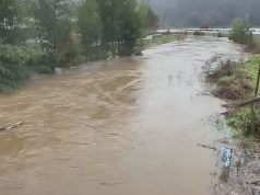 Declaran alerta amarilla en Arauco por crecida del río Pichilo