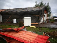 Inundaciones, voladura de techumbres y deslizamientos provocó paso de nuevo sistema frontal en la Región del Biobío