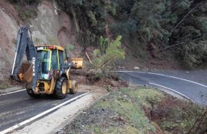 Hombre fallece tras ser aplastado por un árbol mientras desarrollaba labores de despeje de ruta