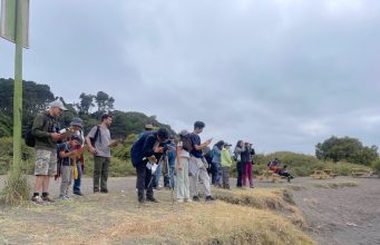 Parque Museo Pedro del Río Zañartu invita a más de 25 actividades gratuitas durante vacaciones de invierno