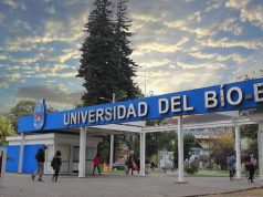 Contraloría advierte deficiente gestión en Universidad del Biobío para recuperar más de $4 mil millones en becas docentes