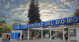Contraloría advierte deficiente gestión en Universidad del Biobío para recuperar más de $4 mil millones en becas docentes